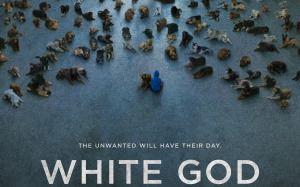 white-god-movie-poster-wallpaper