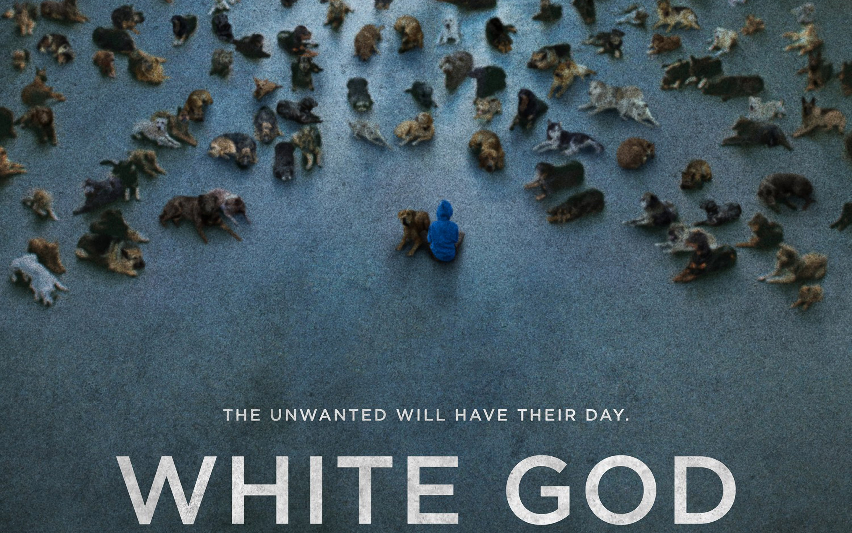 Top 6 Películas por el Día Internacional del Animal sin Hogar: White God. 